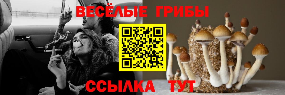 Галлюциногенные грибы GOLDEN TEACHER Всеволожск